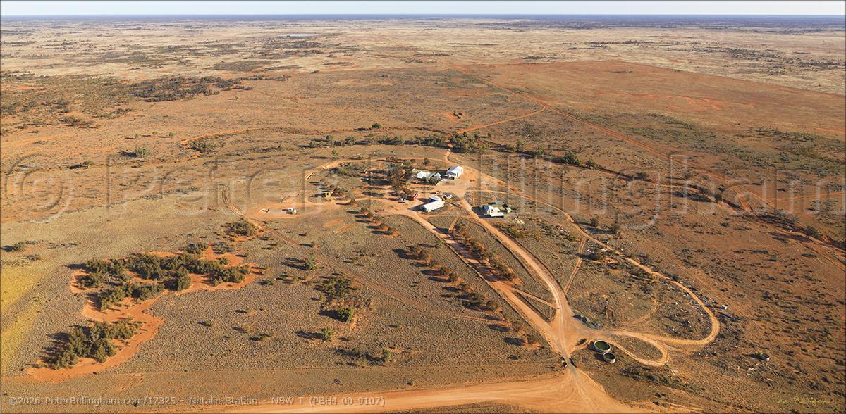 Peter Bellingham Photography Netalie Station - NSW T (PBH4 00 9107)
